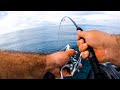 Epic offshore fishing in 50 feet grouper  hogfish fired up