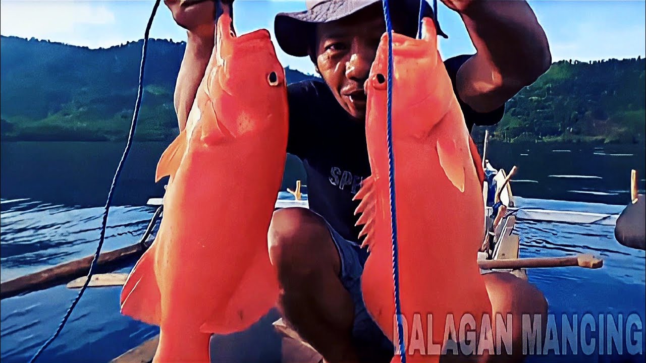 MANCING KERAPU MAHAL ⁉️ Cukup Dengan Cara Ini ‼️