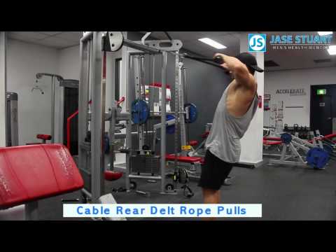 Cable Rear Delt Rope Pulls