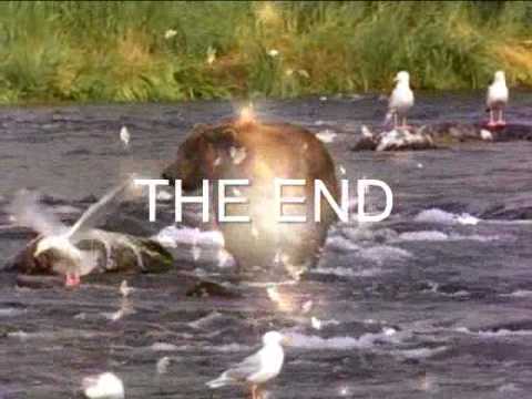 Explosive Bear (Compositing Test).wmv