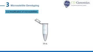 Microsatellite Genotyping