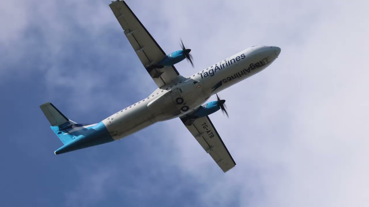 New Years Eve spotting in Belize