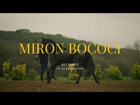 MIRON BOCOCI - HORSE WHISPERER