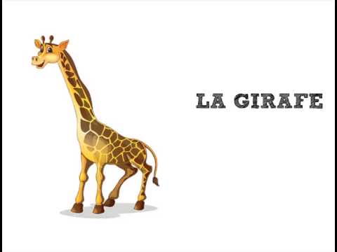 Apprendre Les Noms Des Animaux