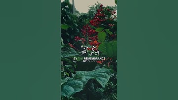 تلاوة عطرة من سورة الرعد، للقارئ اسلام صبحي #quran #قرآن #تلاوة_خاشعة #أذكار #اذكروا_الله_يذكركم