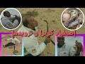 أهم وأخطر وثائقى عن أفاعى الكوبرا المغرب في الصحراء أخفنير