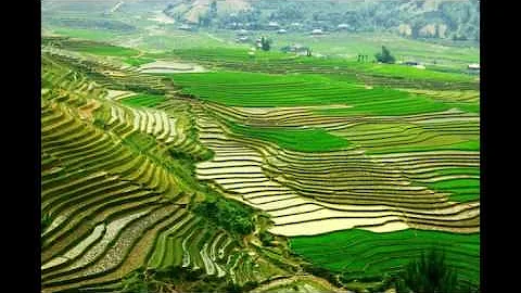 Natural landscape