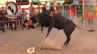 CAYO PORFIS DE JALISCO Rancho Las Cubatas En San Jose De Porto Guanajuato 2022