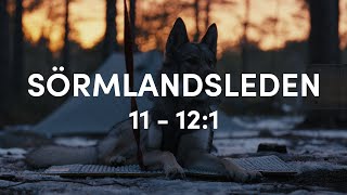 Tamaskan on trail - Hiking Sörmlandsleden from Järna to Mölnbo by Emil Sahlén 335 views 1 year ago 19 minutes