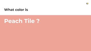 Peach Tile color #efa498 hex Cool Orange color efa498