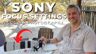 Sony focus settings for bird and wildlife photography with SONY A7RIV camera and 200-600 lens