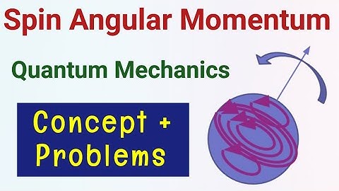 Spin Angular Momentum Quantum CSIR NET Physics