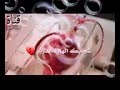 كلب شجابك الهاذه الدرب