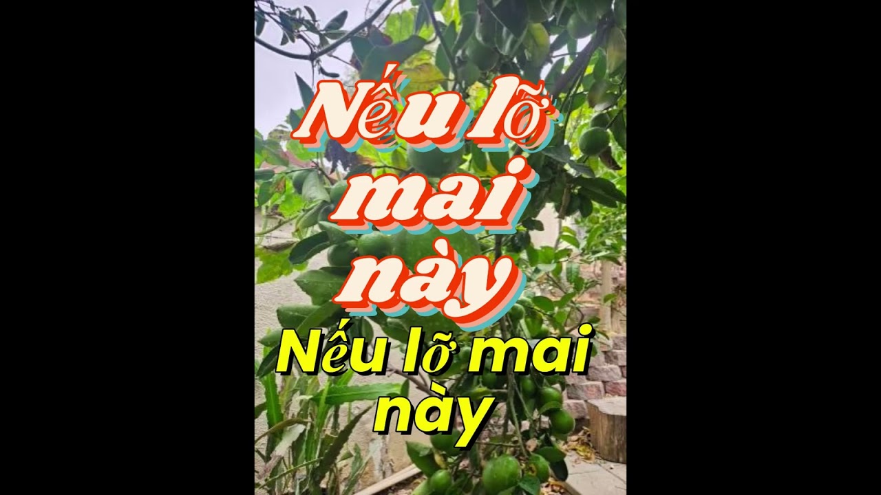 Suno phổ nhạc từ  bài thơ   ---  Nếu lỡ mai này