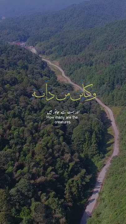 The Most Beautiful Ayah That Will Touch Your Soul – Ya ‘Ibadi allazina Amanu 💫 | Quran Recitation