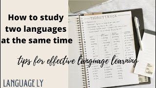 Should I study more than one language? How to study two languages at the same time - study tips
