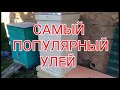 Самый популярный улей