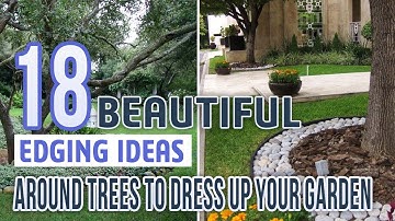 18 Beautiful Edging Ideas Around Trees To Dress Up Your Garden