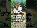 Знакомимся в Shorts