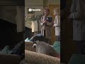To The Manor Born-Audrey Tells Marjorie about Adam  #comedy #funny #tothemanorborn