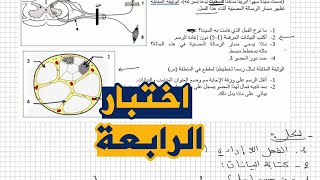 اختبار مقترح التنسيق الوظيفي علوم طبيعية للسنة الرابعة متوسط الجيل الثاني