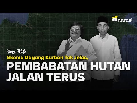 Video: Adakah hutan tenggelam karbon?