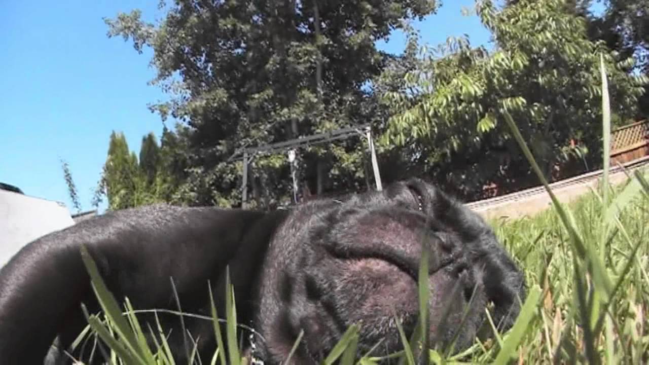 Rayden's House Session