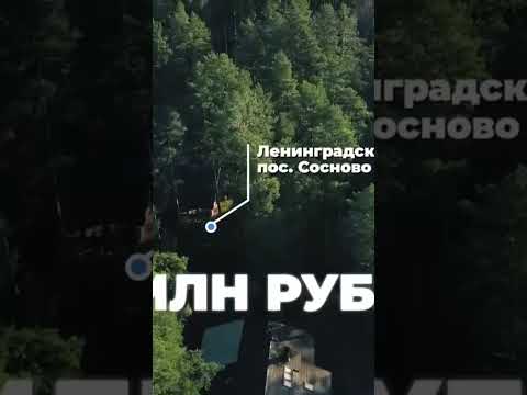 Великобритания ввела санкции против любовницы Путина Светланы Кривоногих — вспомним расследование!