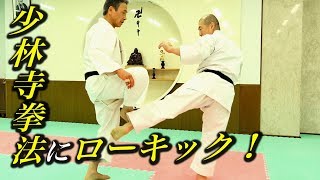 少林寺拳法にローキックした男の証言 Kick against Shorinji Kempo