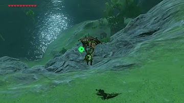 [DAY 298] of finding one korok seed everyday until Botw2 comes out