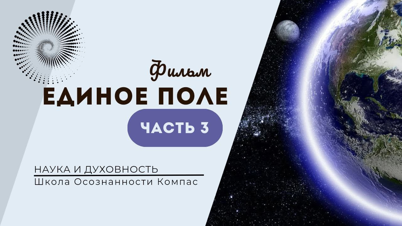Единое поле информация. Единое поле информация