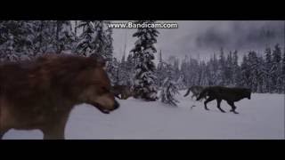 Twilight Wolves - Faded(Alan Walker)