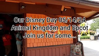 Our Disney World vlog 05/14/24 | Animal Kingdom | Epcot | Disney Pins