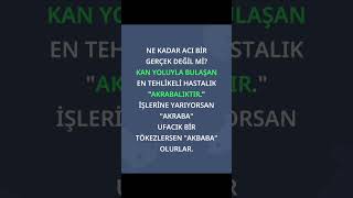 akbaba olurlar #müzik #amin #sevkiyat #öneçıkar #ytdayibenionecikarnolur #sevgi #mustafayavuz #cuma