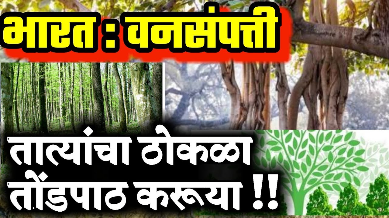 भारत : वनसंपत्ती | तात्यांचा ठोकळा | MPSC PSI STI ASO तलाठी सरळसेवा