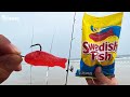 Using Swedish Fish Candy To Catch EVERY SPECIES of Fish? (Beach Fishing w/ Candy For Bait!)