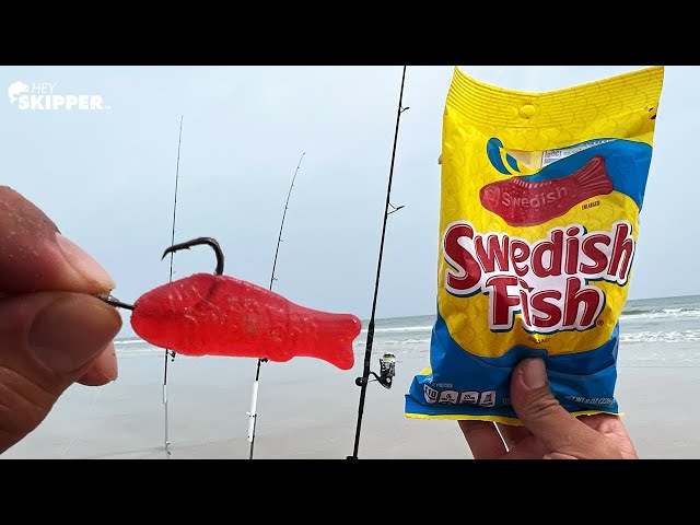 Using Swedish Fish Candy To Catch EVERY SPECIES of Fish? (Beach