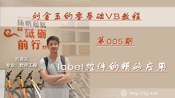 零基础VB教程005期：label控件的精妙应用