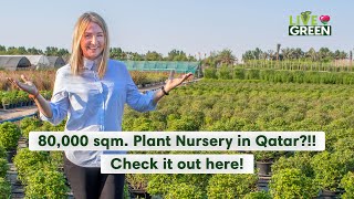 Check out one of the largest plant nurseries in Qatar!  | Live Green | Ep 4 screenshot 5