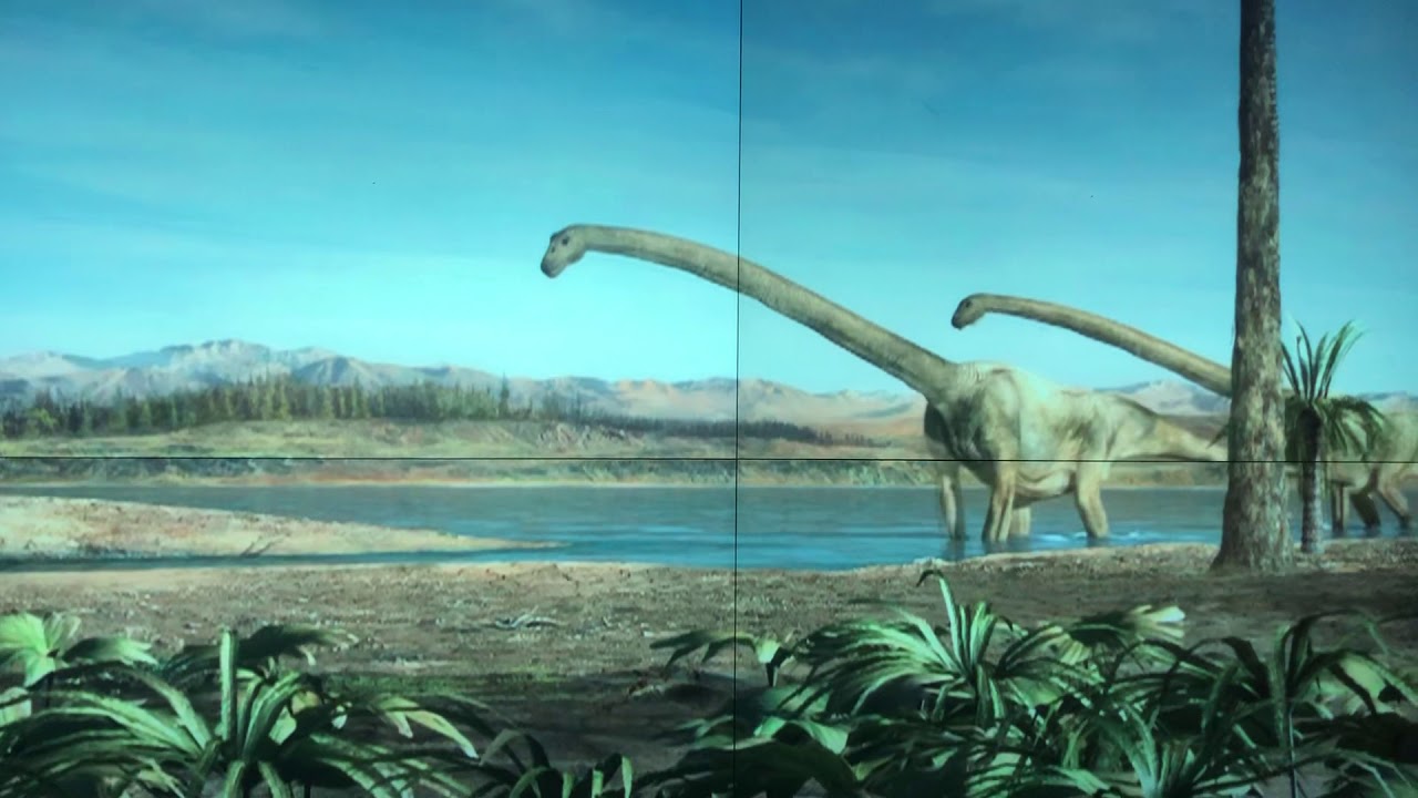 福井県立恐竜博物館 オメイサウルスを襲うヤンチュアノサウルス！