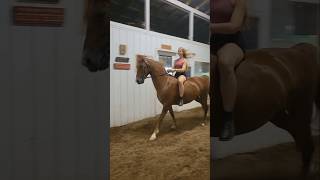 DRAFT AND NOT MY PONY!! I love her canter bareback😍 #horse #foryou #equestrian #fyp #horsegirl