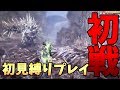 【MHWI】初見ラドバルキン戦ソロを縛りプレイ（イベントムービー込み）【太刀縛り】