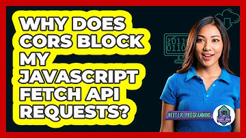 Why Does CORS Block My JavaScript Fetch API Requests? - Next LVL Programming