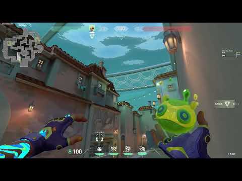 Gekko Molly Pearl for B mid site