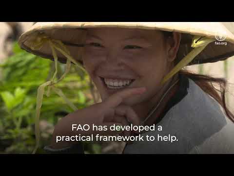 How to transform agrifood systems using a systems approach