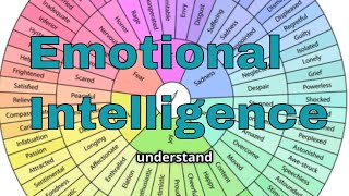 Using the The Emotions Wheel to Increase Your Emotional Intelligence EQ