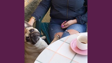 Amazing Ambience for Java Vibes