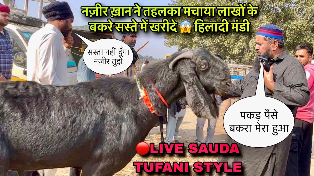 नज़ीर ख़ान ने तहलका मचाया लाखों के बकरे सस्ते में खरीदे 😱 हिलादी मंडी Bakra Market 2025 @farmingbaba