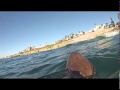 Fwfs get salty spearfishing 8 12 foot 7 gill shark la jolla san diego california