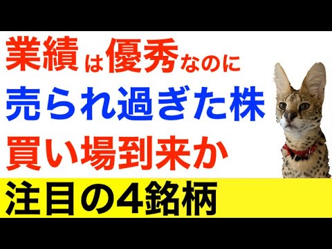 業績は優秀なのに売られ過ぎなグロース株４選！